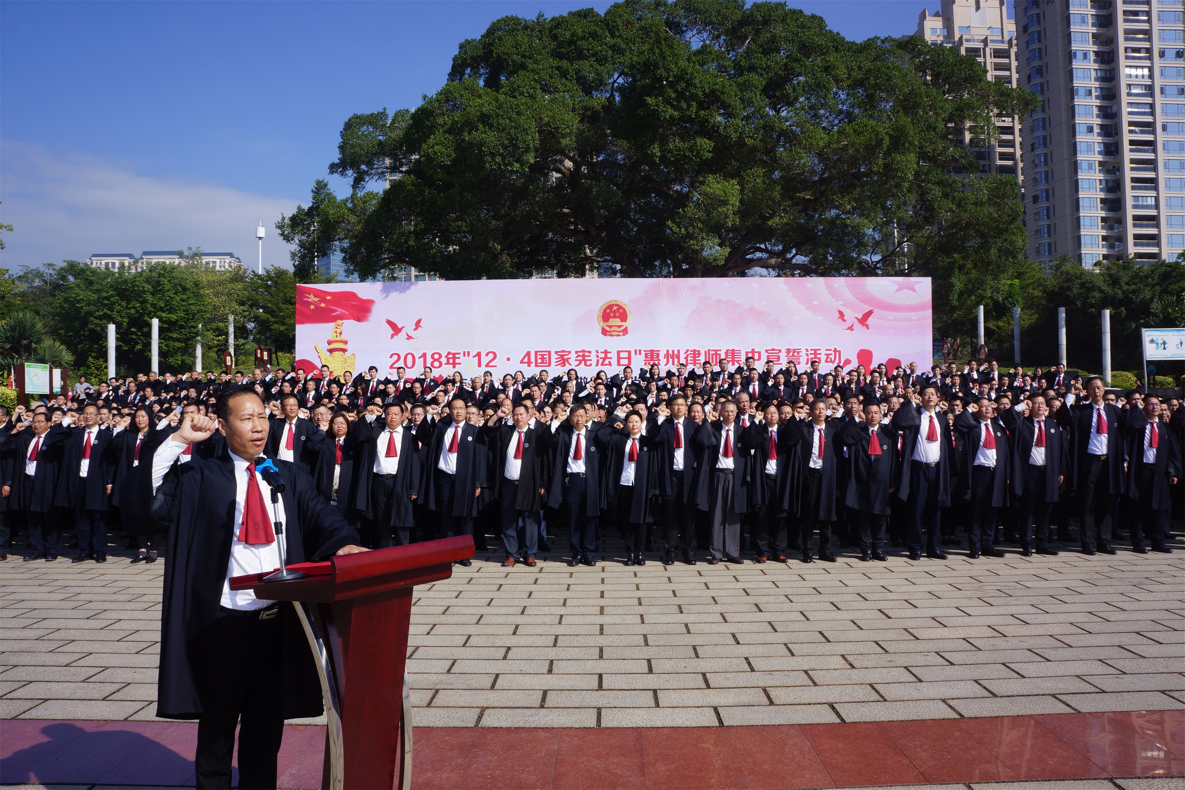 在杨择郡会长的领誓下,宣誓人逐句跟诵誓词.